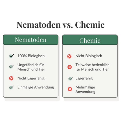 Gegenüberstellung Vorteile Nematoden oder Chemie gegen Trauermücken