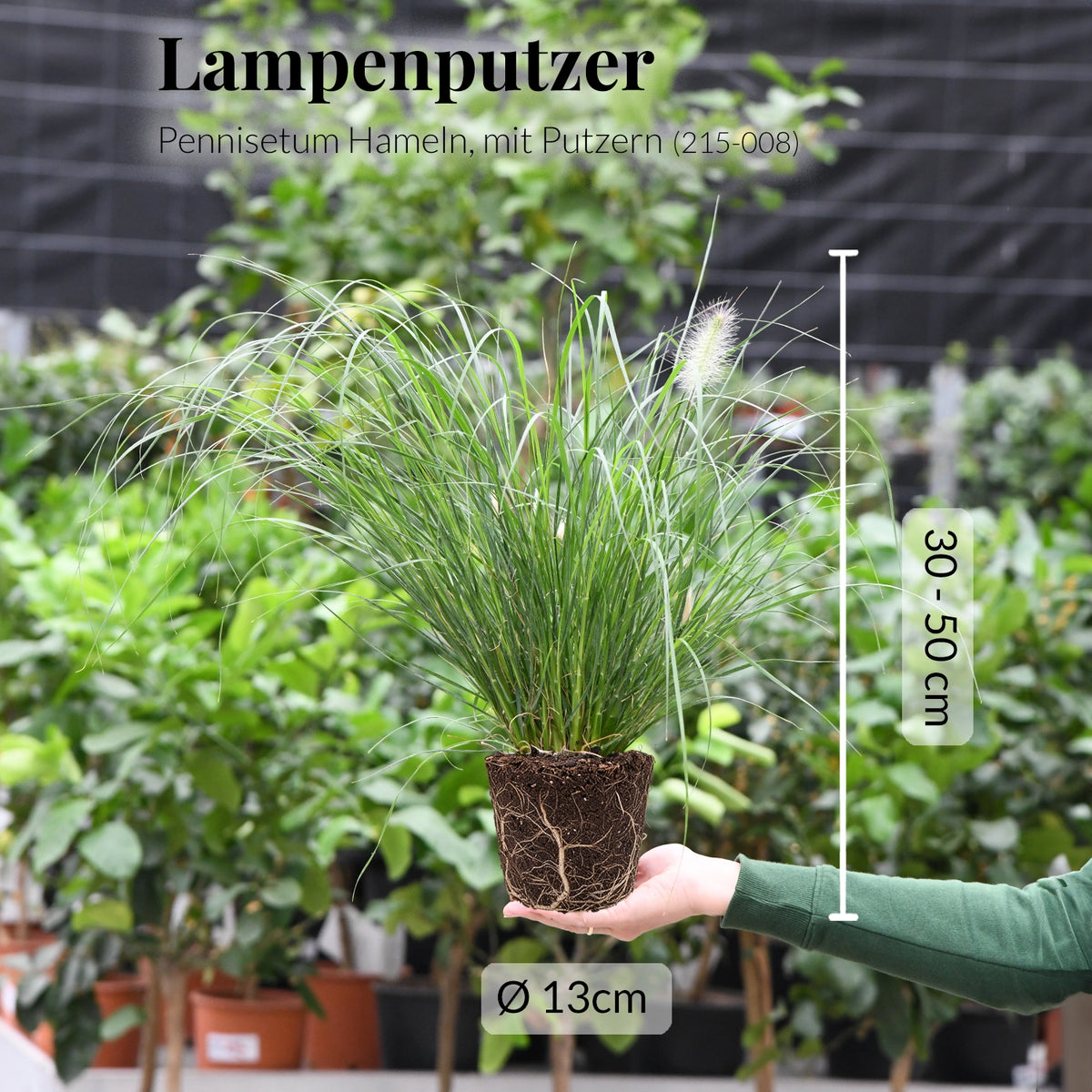Mix & Match Balkongräser, 20-80cm