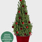 Großes Weihnachtsbaum Set mit Lichterkette, Kugeln und rotem Deko Topf