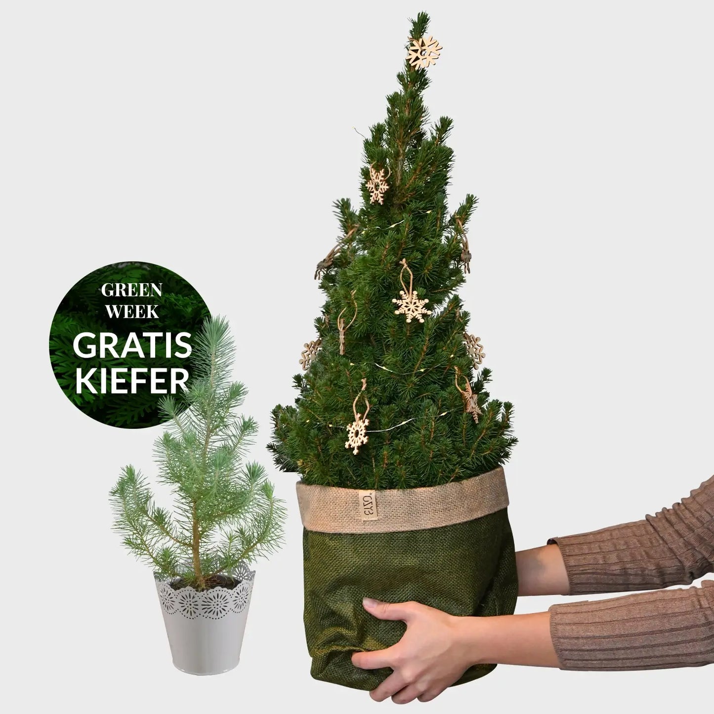 GREEN WEEK Pop Up Weihnachtsbaum geschmückt + Kiefer