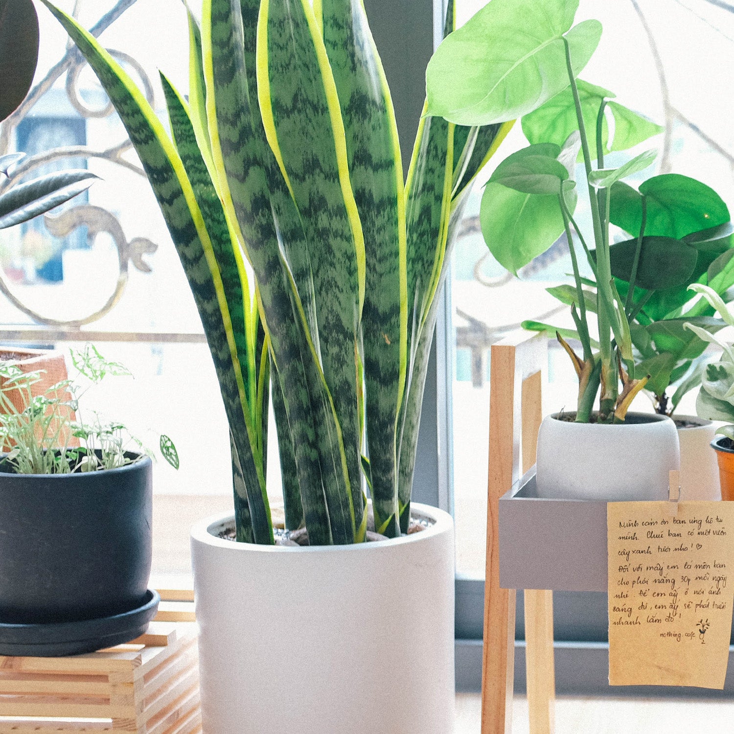 Green Me Up Dein grüner Online Shop
