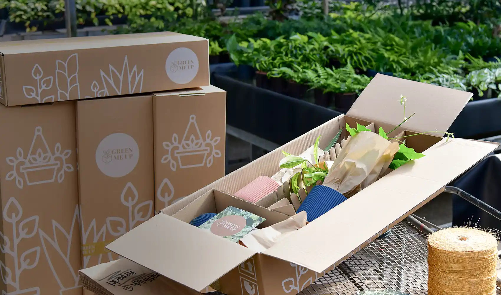 Karton mit eigenem Verpackungssystem sorgt für einen sicheren Versand von frischen Pflanzen