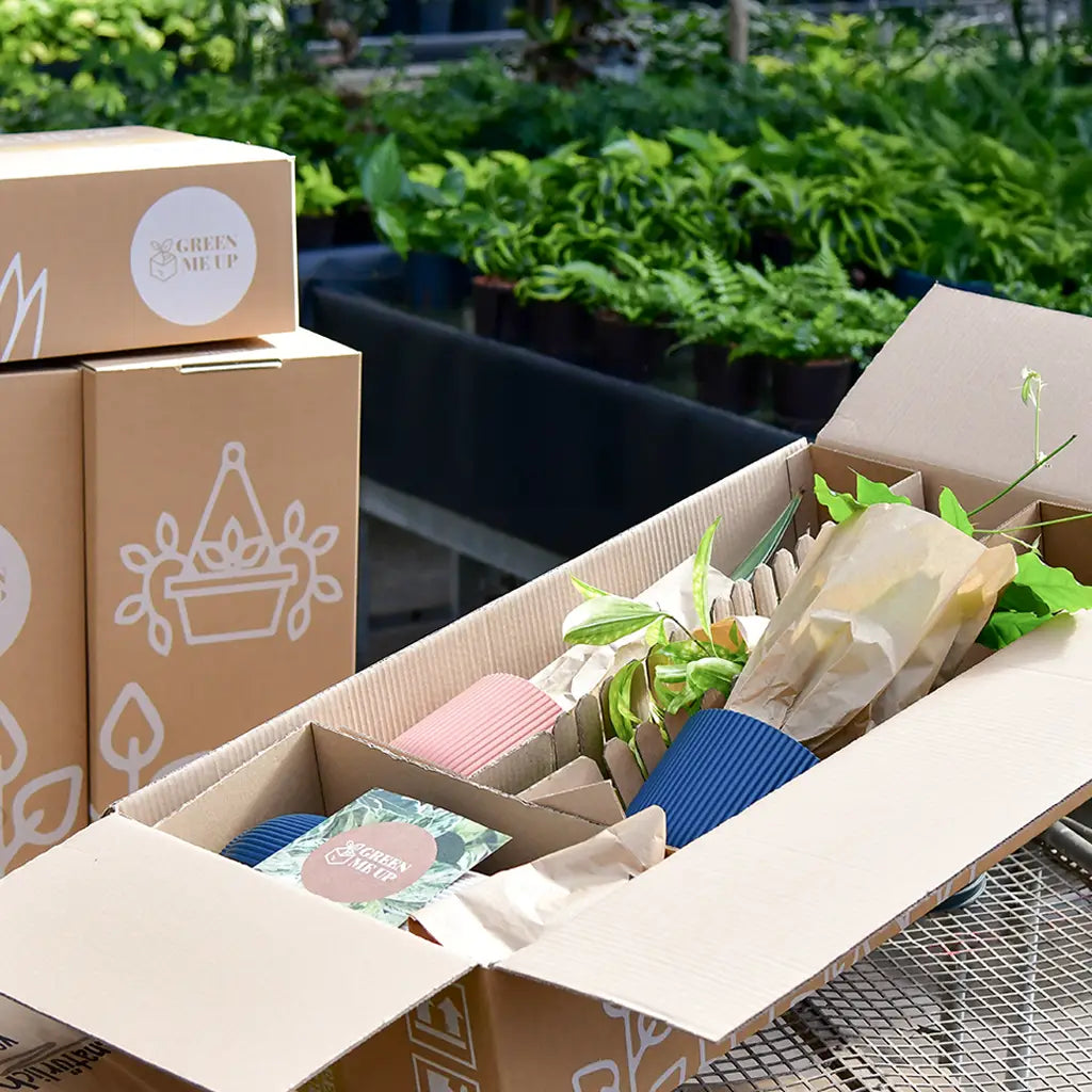 Karton mit eigenem Verpackungssystem sorgt für einen sicheren Versand von frischen Pflanzen