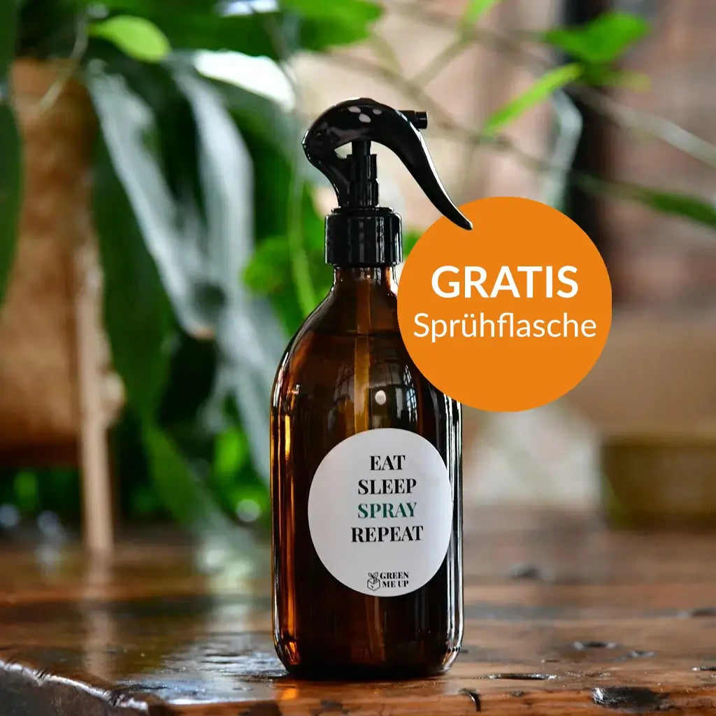 Sprühflasche aus Glas für Zimmerpflanzen Pflege