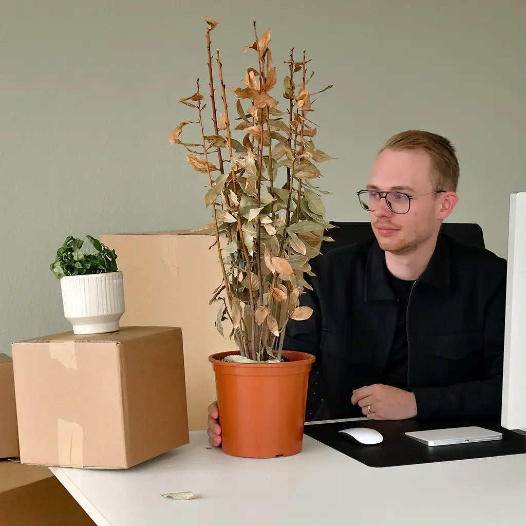 Chef traurig mit toter Pflanzen in tristem Büro