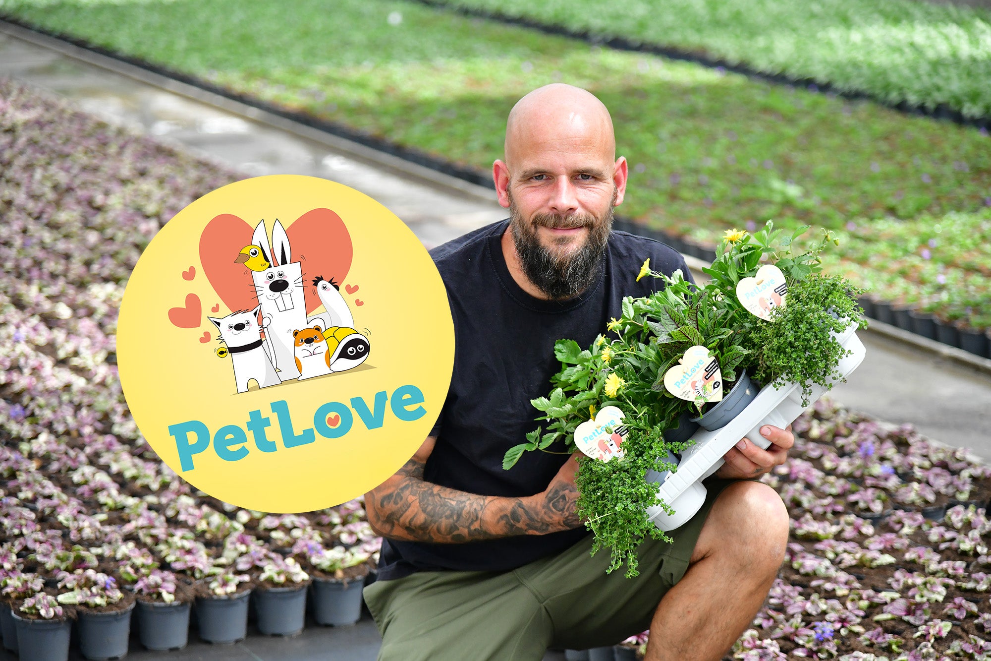 Video laden: PET LOVE Futterpflanzen Video