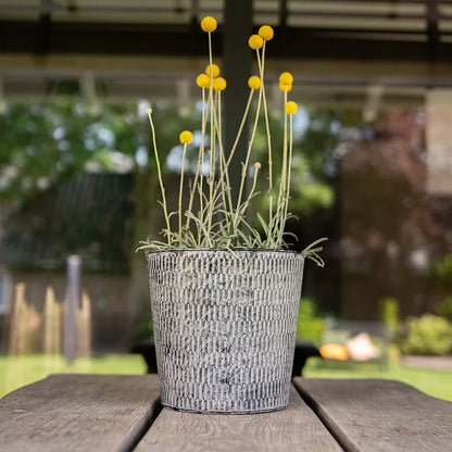 Trommelstöckchen mit gelber Blüte auf Tisch