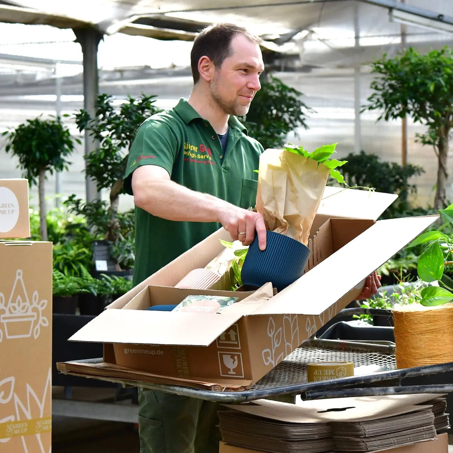 Gesunde frische Pflanzen werden direkt beim Gärtner plastikfrei verpackt