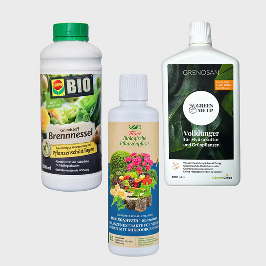Wachstumswunder-Set für Pflanzen