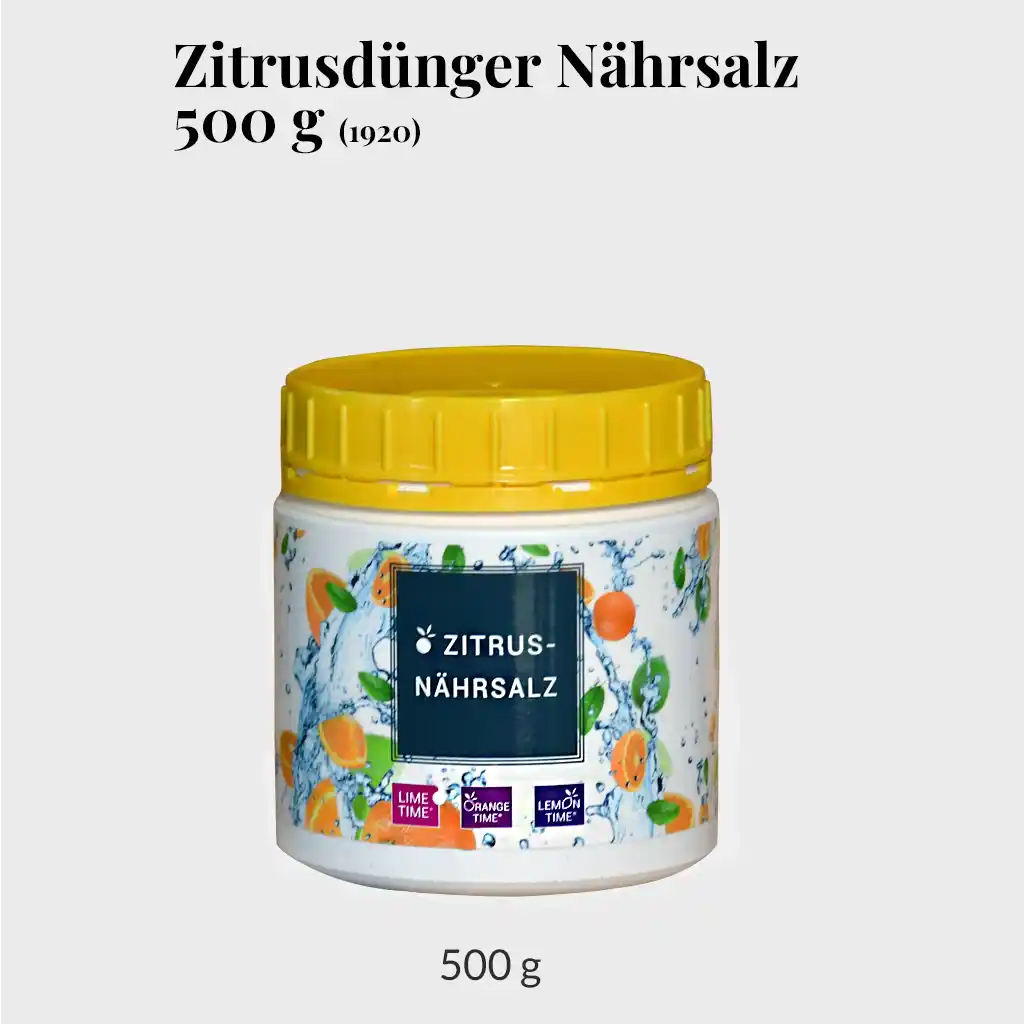 BIO Düngestäbchen für Zimmerpflanzen – Green Me Up