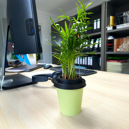 ggreeno® Palme in Salbei