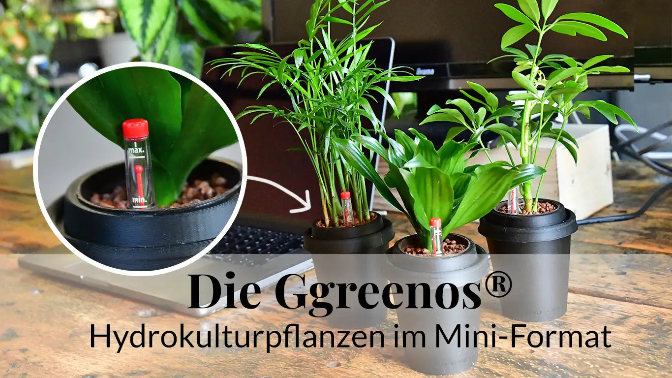 Video laden: 