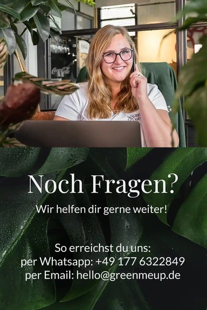 Green Me Up Kundenservide 