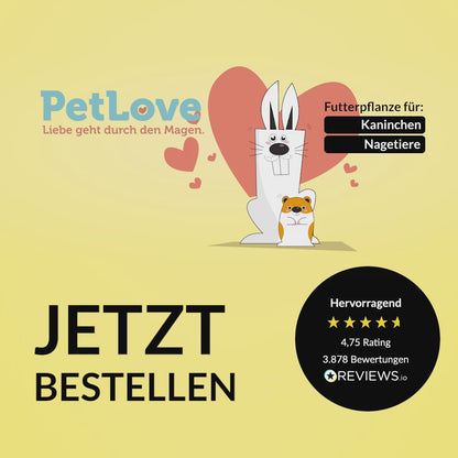 3er Nager Box PetLove