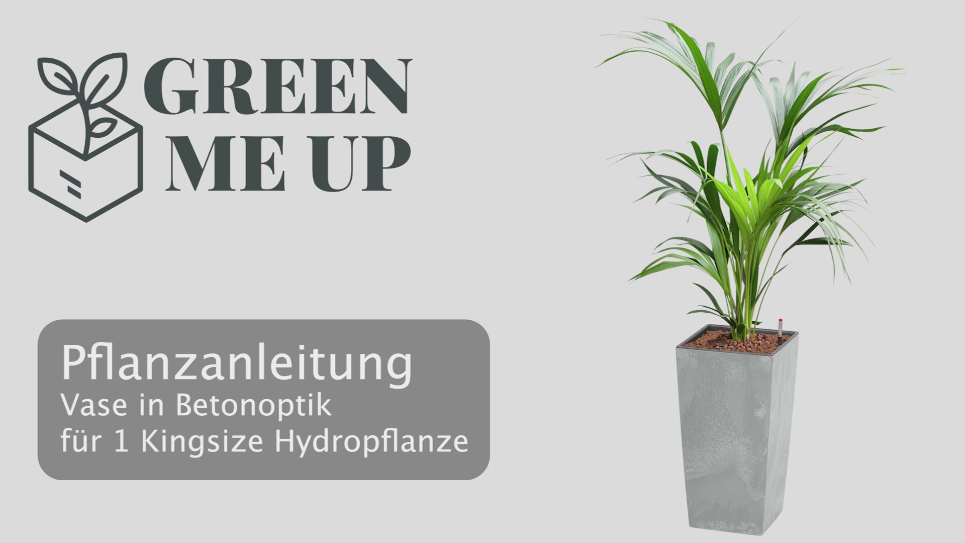 Video laden: Pflanzanleitung für eckige Vase in Betonoptik Hydrokultur richtig einpflanzen