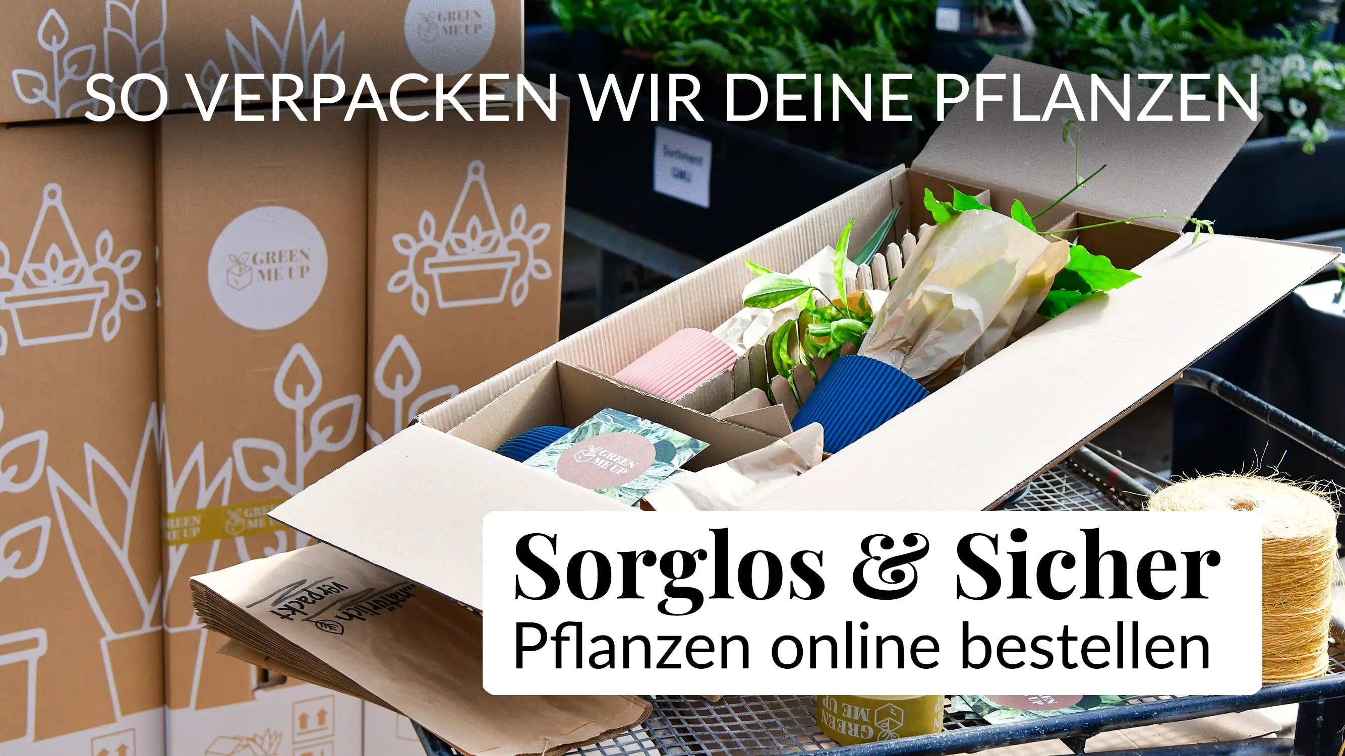 Video laden: So verpacken wir unsere Pflanzen, damit sie sicher bei dir ankommen