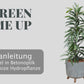 HYDRO SET XL BÜROPFLANZE Ficus Amstel King mit Pflanzgefäß in Betonoptik, 120-130cm