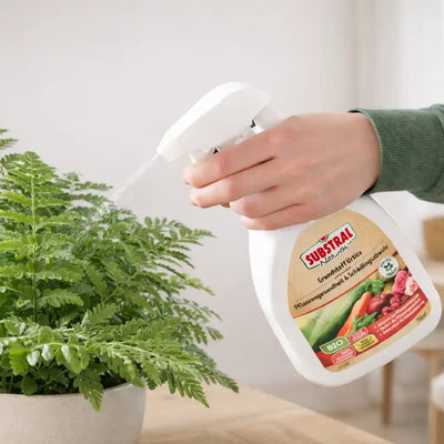 Urtica Spray für Pflanzengesundheit besprüht einen Farn
