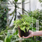 3+1 Hydrobox Tierfreunde