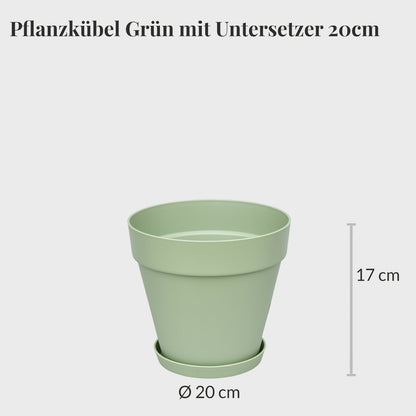 Elho Loft Pflanzkübel mit Untersetzter 20cm – Green Me Up