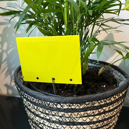 Leimtafeln Gelbtafeln 20 Stück