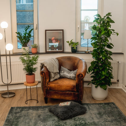 Moderner Übertopf Elho Vibes für XXL Pflanzen
